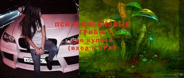 мяу мяу кристалл Покачи