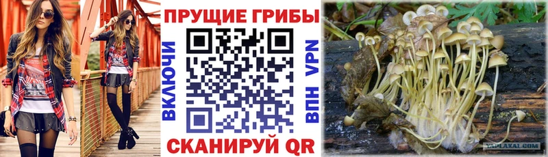 Галлюциногенные грибы Magic Shrooms  магазин продажи наркотиков  Новый Уренгой 