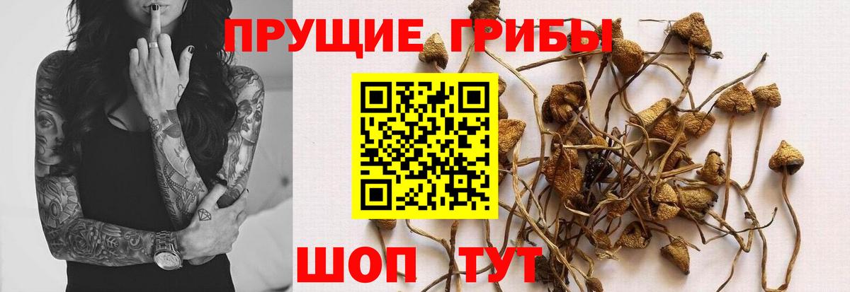 Новый Уренгой  Галлюциногенные грибы MAGIC MUSHROOMS  Вход с VPN 